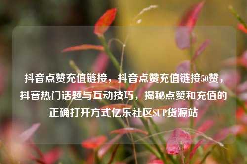 抖音点赞充值链接，抖音点赞充值链接50赞，抖音热门话题与互动技巧，揭秘点赞和充值的正确打开方式亿乐社区SUP货源站  第1张