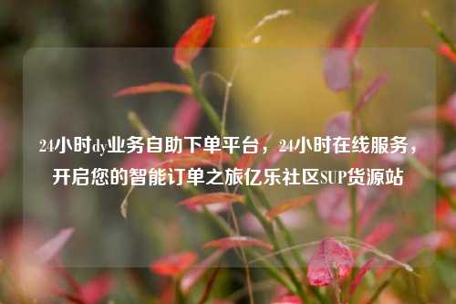 24小时dy业务自助下单平台	，24小时在线服务，开启您的智能订单之旅亿乐社区SUP货源站  第1张